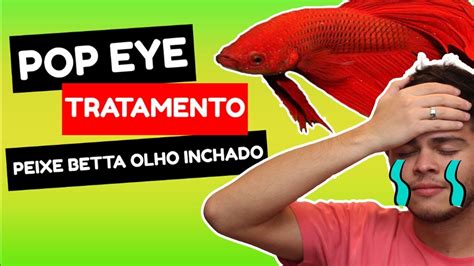 pop eye betta tratamento caseiro - Tratamento de doenças: Pop Eye 